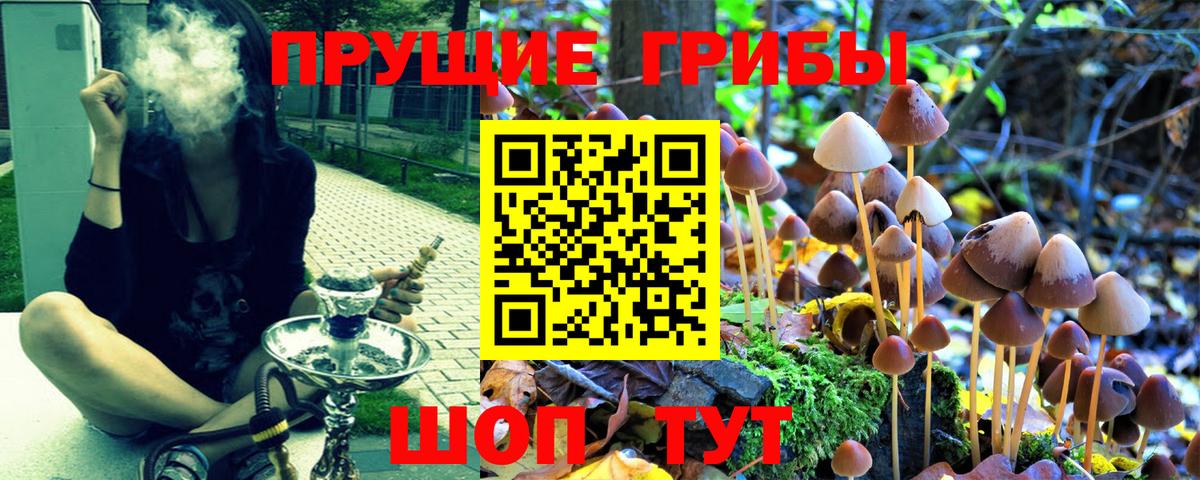 Псилоцибиновые грибы Magic Shrooms  Вход с VPN  Асбест 